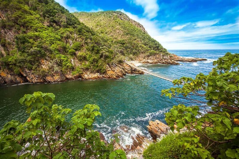Tsitsikamma: Zipline & Storms River Mouth Private Tour - A Close Look at the Tsitsikamma: Zipline & Storms River Mouth Private Tour