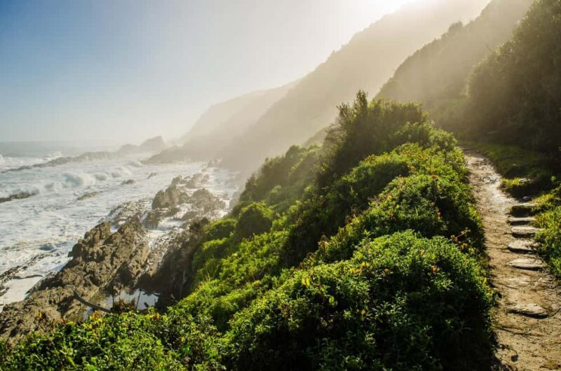 Tsitsikamma: Zipline & Storms River Mouth Private Tour - Authentic Experiences and What Reviewers Say