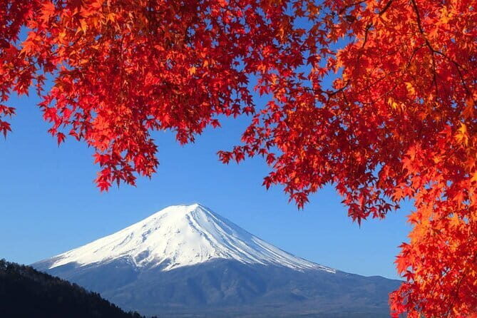 Tsukiji Fish Market Private Food Tour in Tokyo - Who Is This Tour Best Suited For?