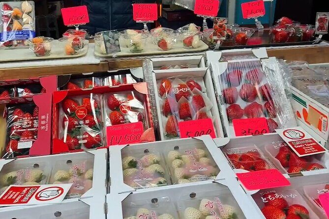 Tsukiji Food Strolling and Hama Rikyu Garden Walking Tour - Key Points