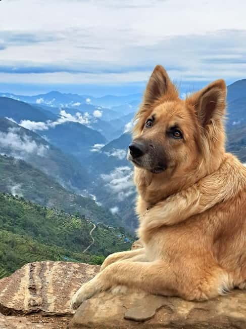 Tsum Valley: 16-Day Trek - FAQs