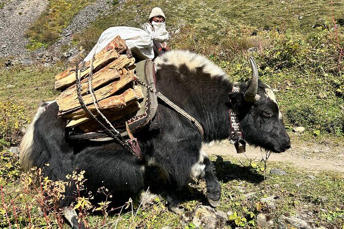 Tsum Valley Trekking - FAQ