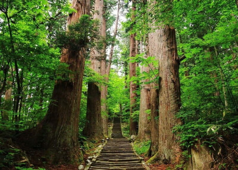 Tsuruoka & Dewa-Sanzan Private Tour with Licensed Guide - An In-Depth Look at the Tour Experience