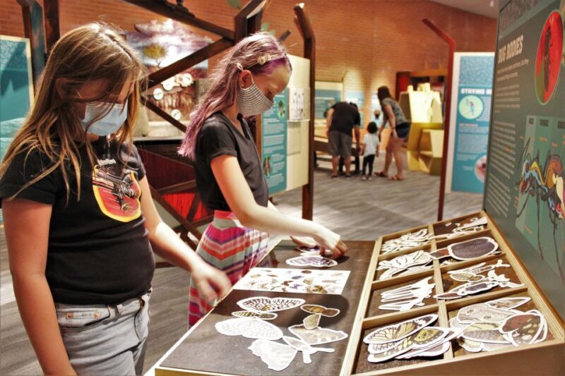 Tucson: Flandrau Science Center Entry Ticket - Key Points