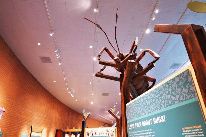 tucson-flandrau-science-center-entry-ticket