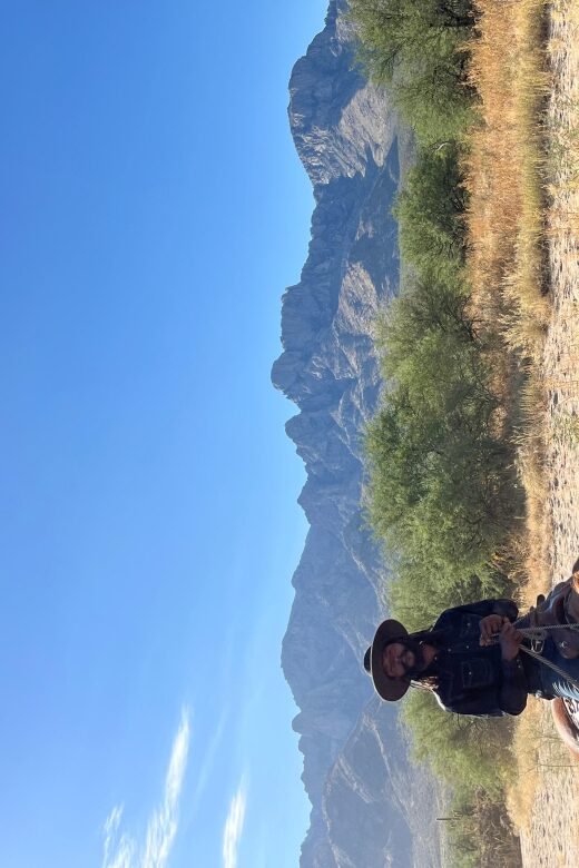 Tucson: Guided Horseback Ride - An Overview of the Experience