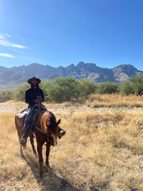 Tucson: Guided Horseback Ride - The Horses and Riding Experience