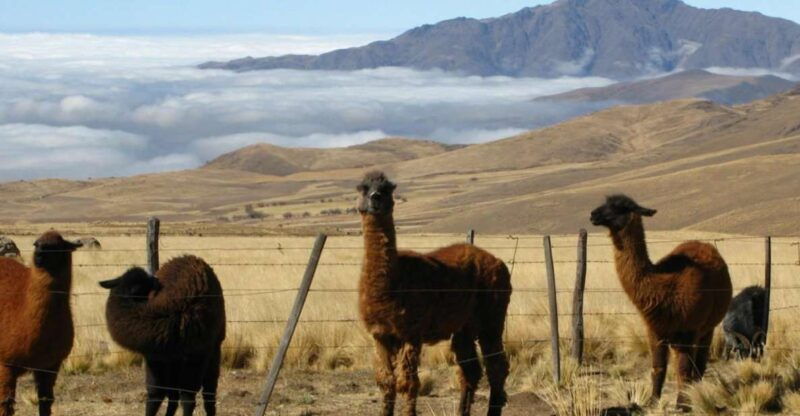 tucuman-tafi-del-valle-full-day-tour