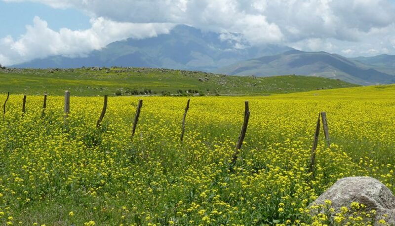 tucuman-tafi-del-valle-full-day-tour