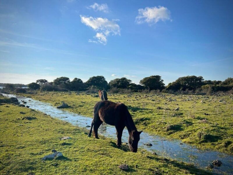 tuili-wild-giara-tour