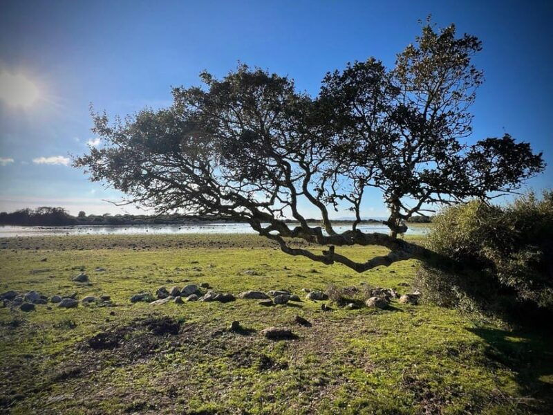 tuili-wild-giara-tour