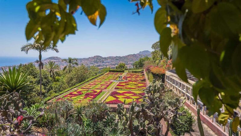 tuk-tuk-botanical-garden-madeira-island