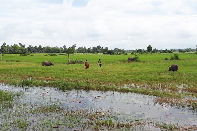 Tuk Tuk Journey: Exploring Rural Life and Silk Farm Craftsmanship - What’s Included and What to Expect