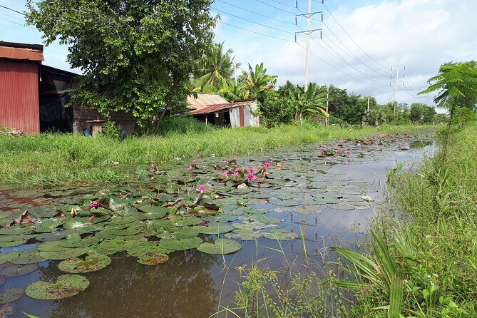 Tuk Tuk Journey: Exploring Rural Life and Silk Farm Craftsmanship - The Experience’s Limitations and Considerations