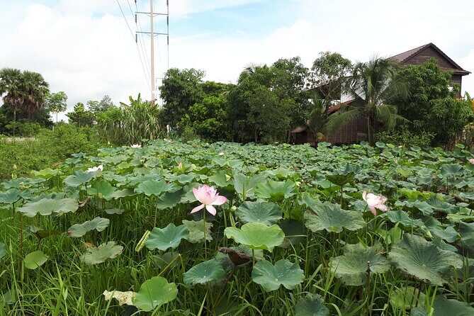 Tuk Tuk Journey: Exploring Rural Life and Silk Farm Craftsmanship - Final Thoughts