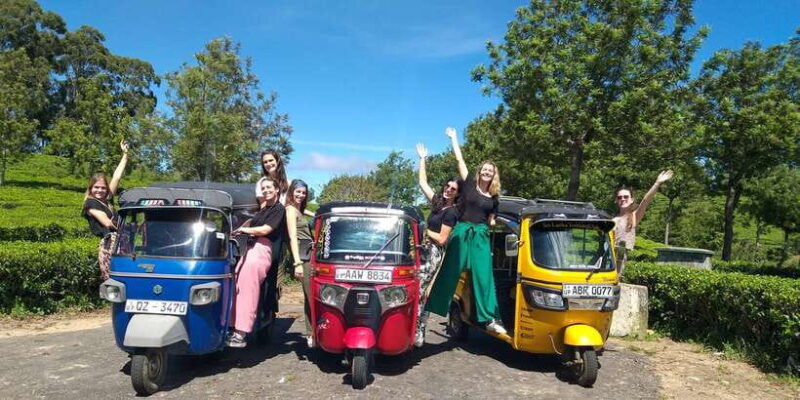 tuk-tuk-safari-liptons-seattea-fields-hiketeafactory-tour