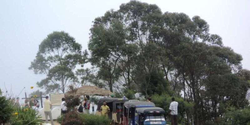 tuk-tuk-safari-liptons-seattea-fields-hiketeafactory-tour