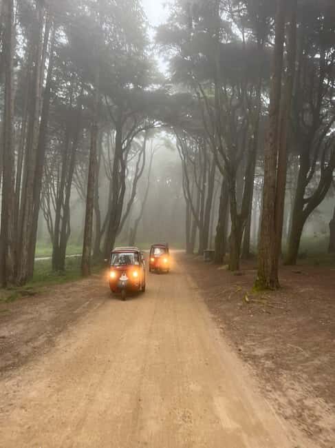 Tuk Tuk Sintra by All Palaces! - Who Should Consider This Tour?