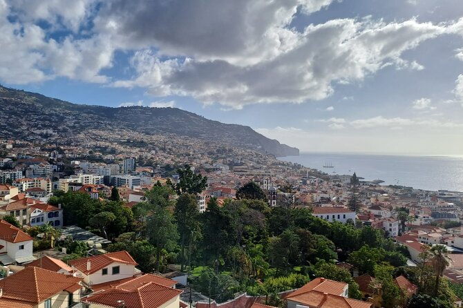 tuk-tuk-tour-in-funchal
