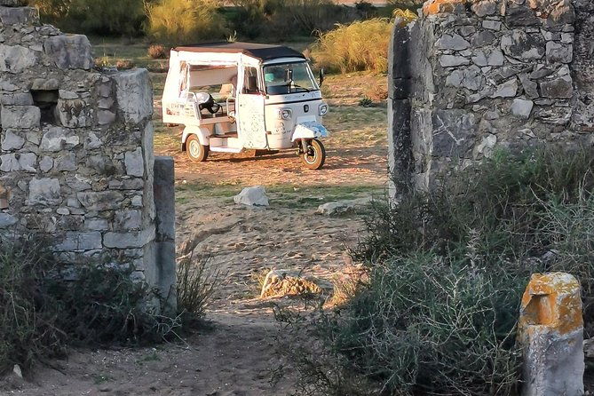 tuk-tuk-tour-tavira-total-2h00-includes-tuna-museum-and-fishing-village