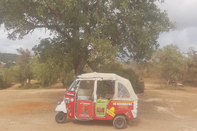 tuk-tuk-tour-the-best-way-to-see-coast-and-country-side