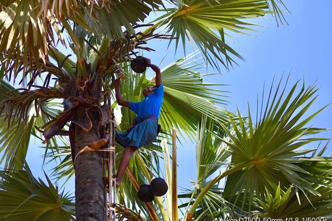 Tuk Tuk tour to Mt. Popa - The Sum Up: Who Will Love This Tour?