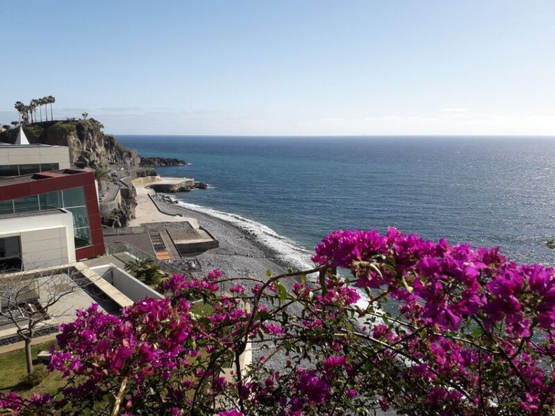 tuk-tuk-wine-tour-madeira-island