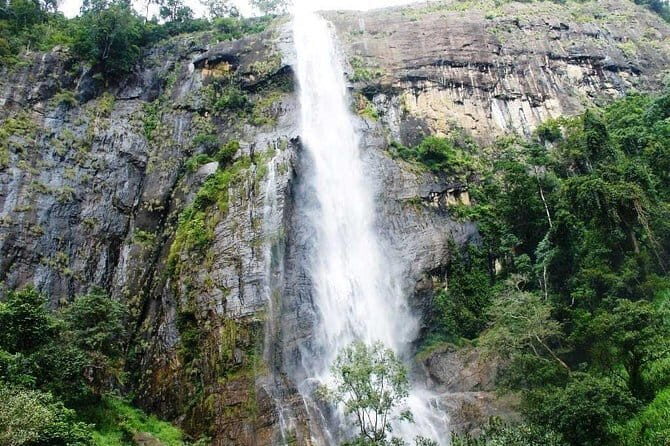 TukTuk Safari in Tea & Spice plantation,View Points,Upper Diyaluma WaterFalls, - An In-Depth Look at the Tour
