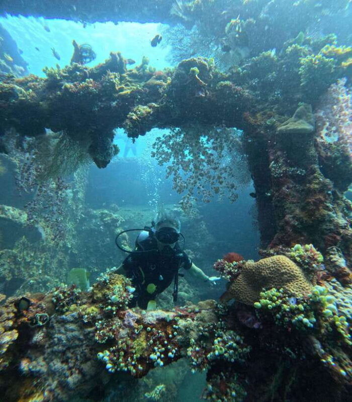 tulamben-liberty-wreck-3-dives-daytrip-from-south-bali