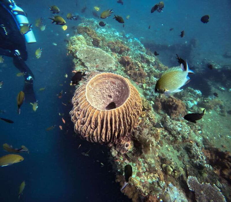 tulamben-liberty-wreck-3-dives-daytrip-from-south-bali