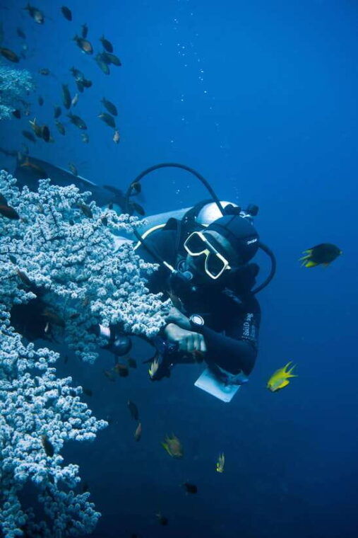 tulamben-liberty-wreck-3-dives-daytrip-from-south-bali