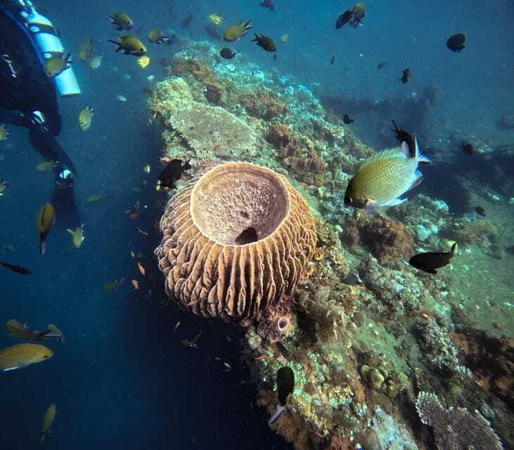 tulamben-liberty-wreck-3-dives-daytrip-from-south-bali