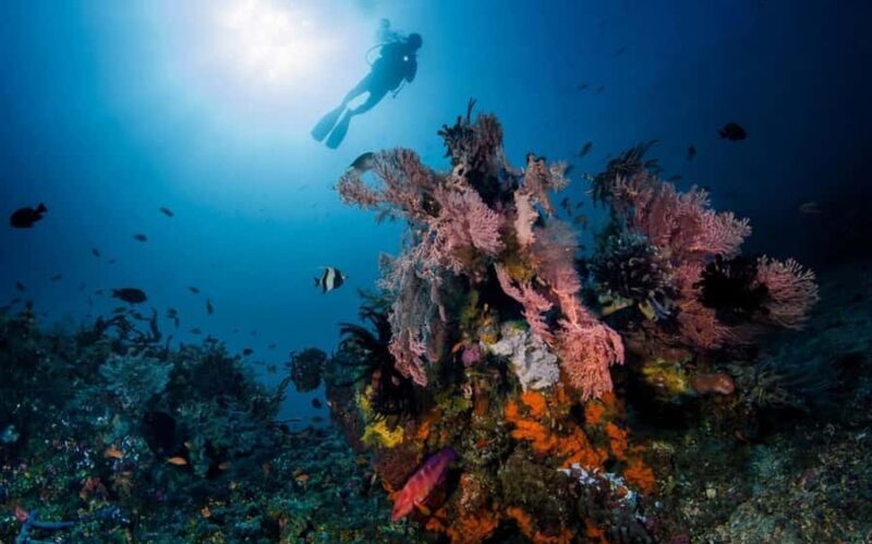 Tulamben: Underwater Paradise Scuba Diving Experience - Key Points