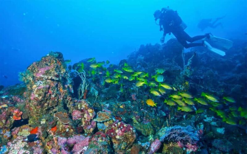 Tulamben: Underwater Paradise Scuba Diving Experience - What to Expect from the Tulamben Underwater Paradise Tour