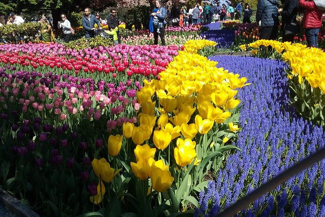 tulip-festival-and-skagit-valley-tour