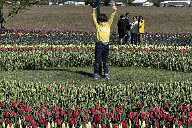 tulip-festival-in-skagit-valley-tour-from-seattle-2