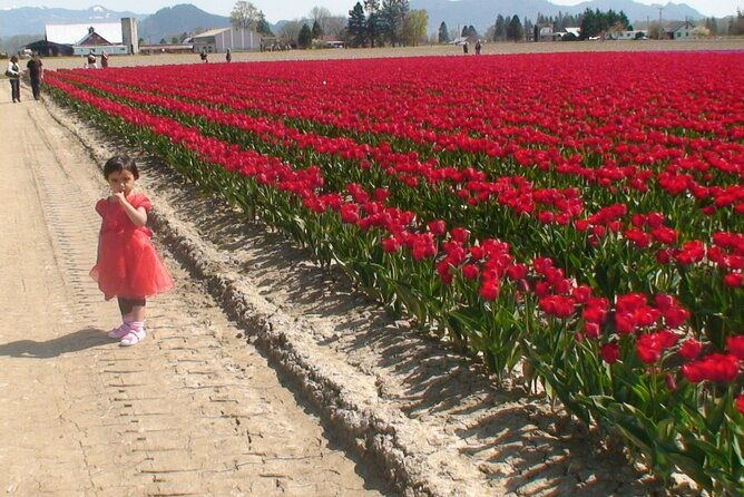 tulip-festival-skagit-valley-la-conner-deception-pass-in-suv