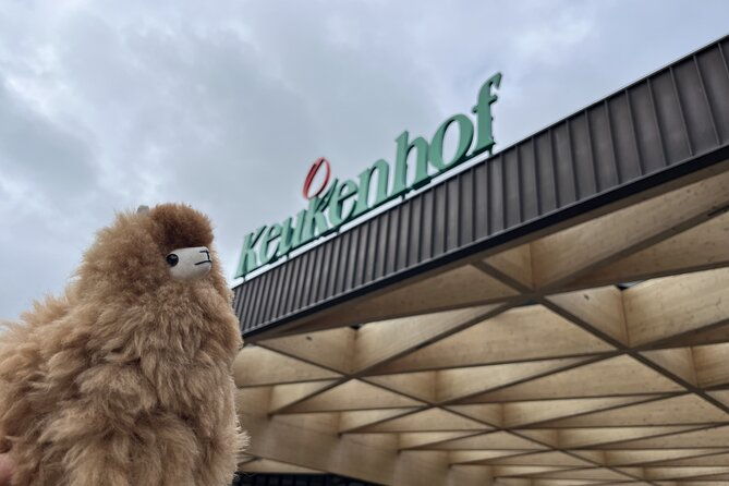 tulip-paradise-keukenhof-half-day-private-tour-2