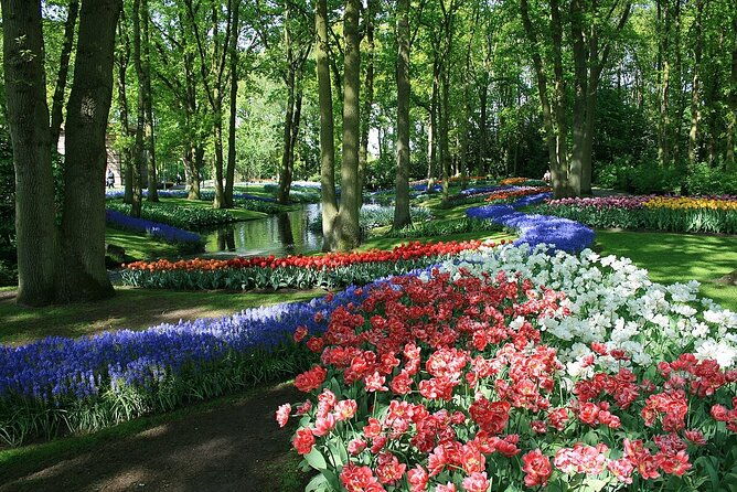 tulip-paradise-keukenhof-half-day-private-tour-2