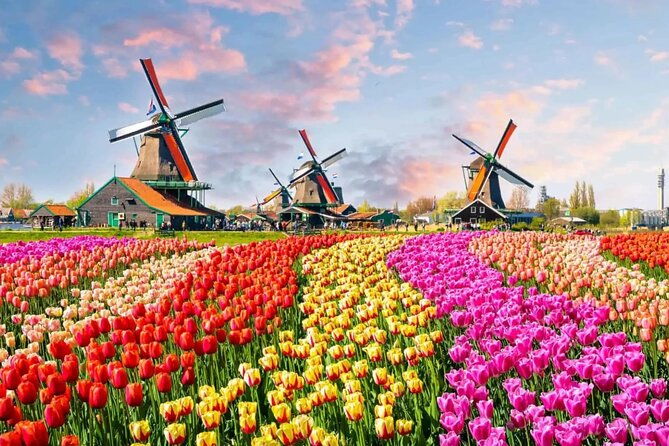 tulip-paradise-keukenhof-half-day-private-tour