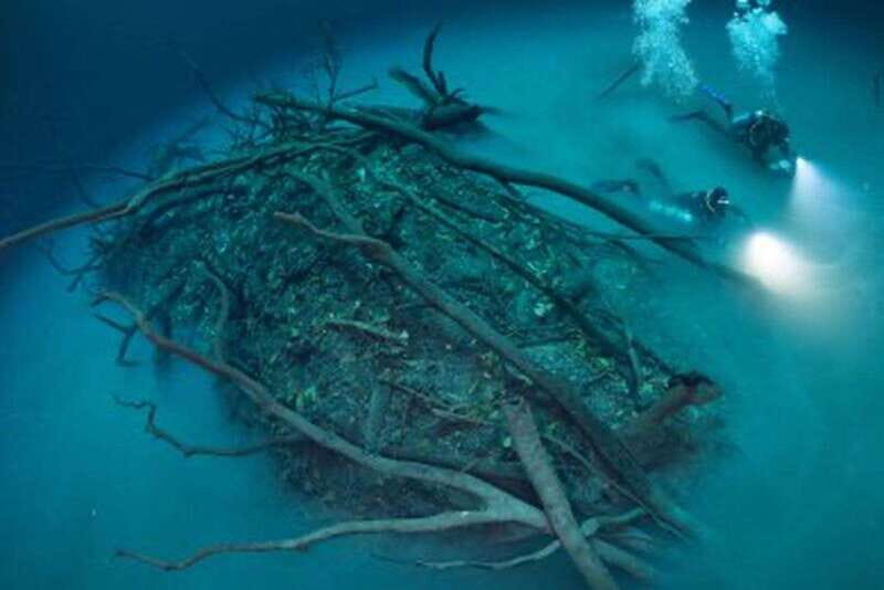 Tulum: 2 Dives in Chac Mool Cenote - Exploring the Itinerary in Detail