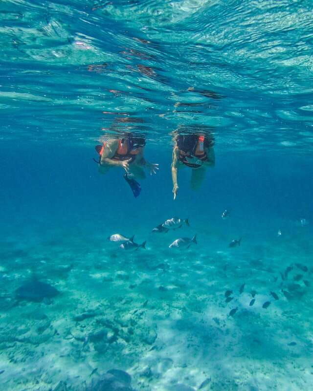 tulum-2-hour-snorkeling-in-two-spots-of-tulums-reef
