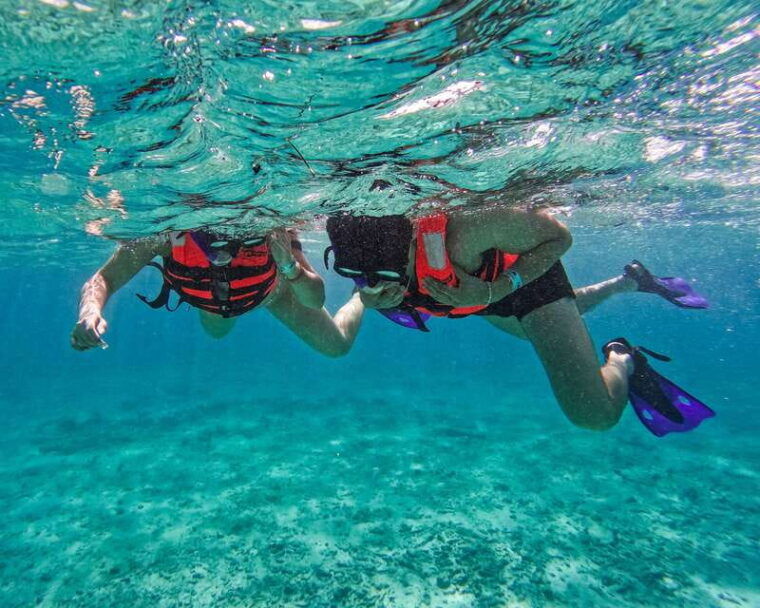 tulum-2-hour-snorkeling-in-two-spots-of-tulums-reef