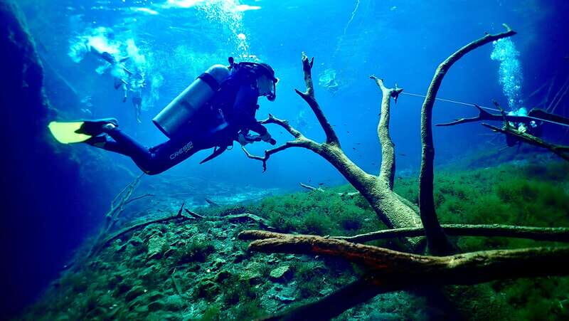 Tulum: 2 Tank Cenote Dive - Key Points
