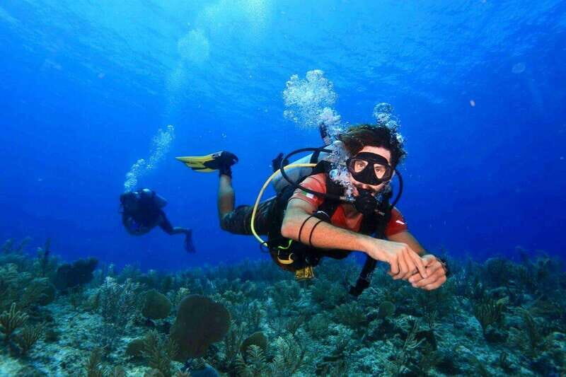 Tulum: 2 Tank Reef Diving - An In-Depth Look at the Tulum 2 Tank Reef Diving Tour
