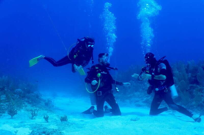Tulum: 2 Tank Reef Diving - The Sum Up