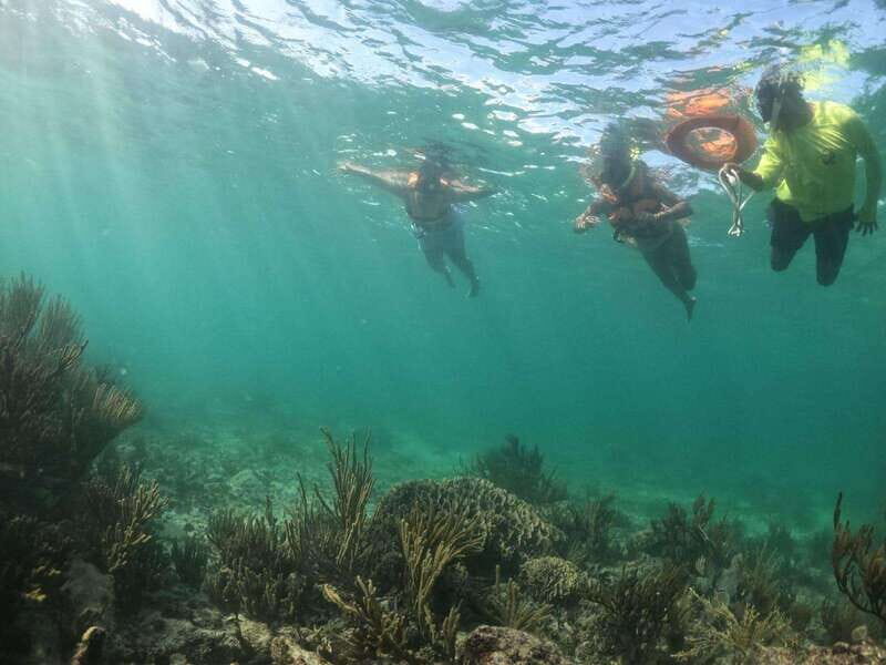 Tulum: 3 hour Snorkel & sailing experience - An In-Depth Look at the Experience