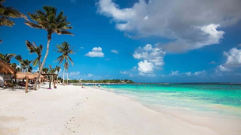 Tulum Akumal Cenote with Lunch (Transportation included) - Key Points