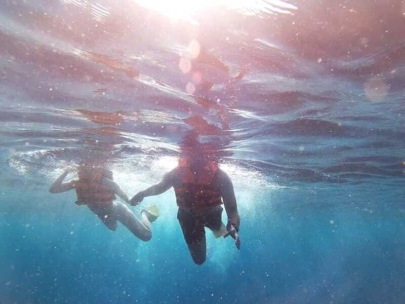 Tulum-Akumal: Swimming with Whale Sharks Tour - Snorkeling in Beautiful Reefs