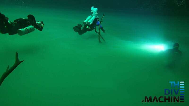 Tulum: Angelita & Carwash Cenotes Dive - An In-Depth Look at the Tour Experience